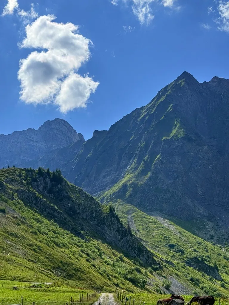 Photo du chalet 7